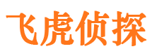 永宁婚外情调查取证